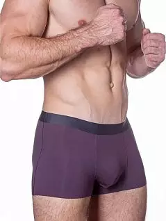 Однотонные боксеры из шелковистого модала баклажанового цвета Sergio Dallini RTSD2905-2-56-1